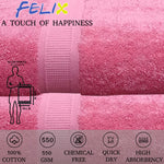 FELIX Export Quality 100% Cotton Turkish Hand Towels (Pack Of 3) - Regency India